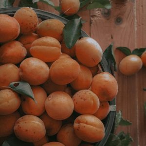 Čerstvé marhule na hromade, pripravené na predaj
