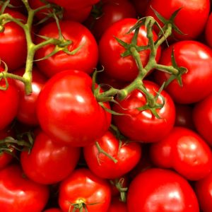Čerstvé červené paradajky pripravené na predaj